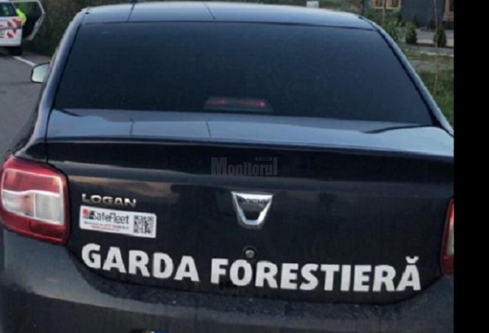 Peste 90 mc de material lemnos confiscat și amendă de 15.000 de lei pentru o firmă din Pojorâta