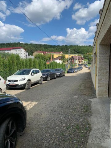 Strada Teilor, sufocată pe timp de vară
