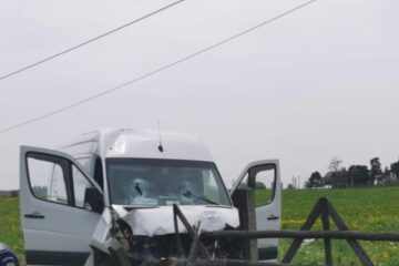 Microbuzul a intrat în gardul din lemn
