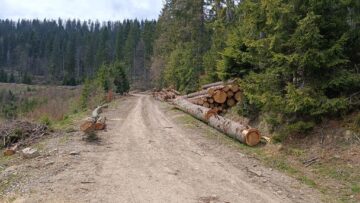 Pe drumul talienilor și pe culmea Stânișoarei