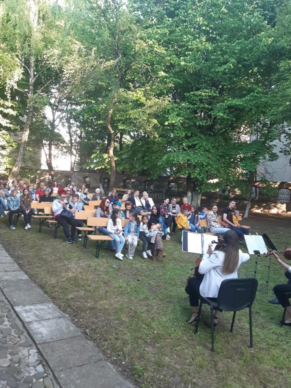 Hanul Domnesc