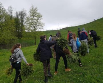 Activități educaționale atractive, la Colegiul Silvic „Bucovina”