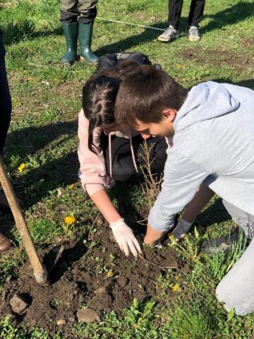Activități educaționale atractive, la Colegiul Silvic „Bucovina”