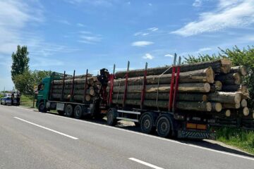 Autotrenul oprit în urma sesizării activiștilor de mediu