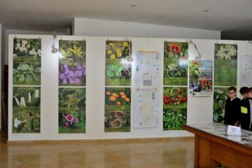 Zeci de elevi de la Școala Gimnazială „Bogdan Vodă” din Rădăuți, prezenți la vernisajul expoziției „Potir vindecător”