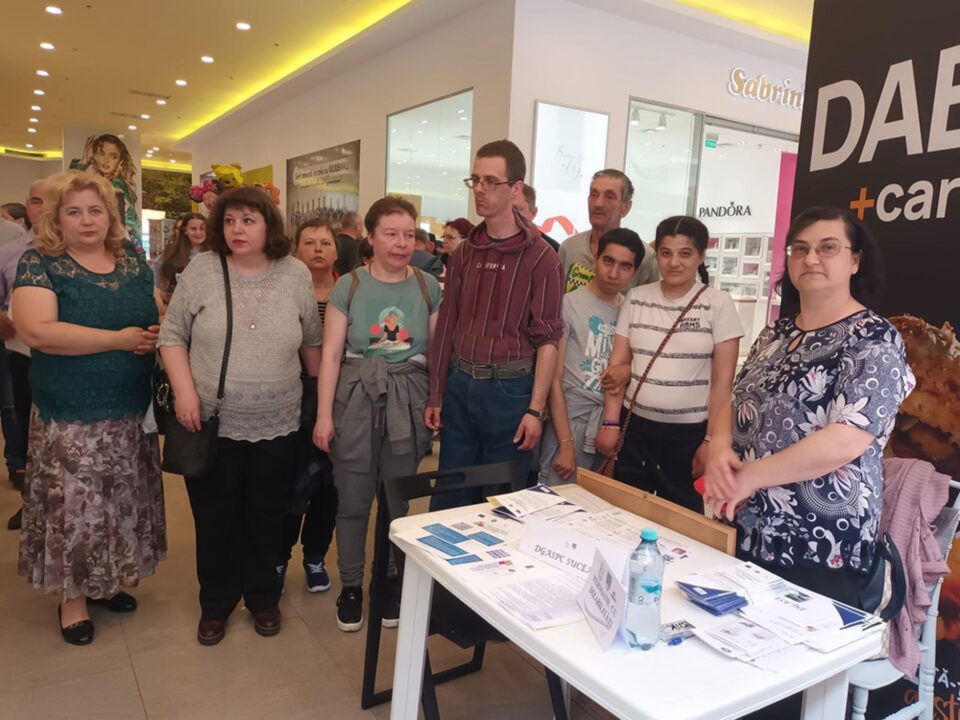 Proiectul „Facilitarea pe piața muncii a persoanelor cu dizabilități”