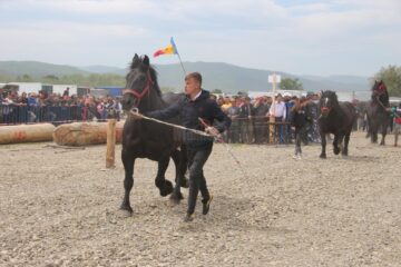 Expo-târgul de semigrei de la Marginea