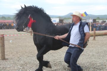 Expo-târgul de semigrei de la Marginea
