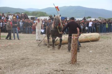 Expo-târgul de semigrei de la Marginea