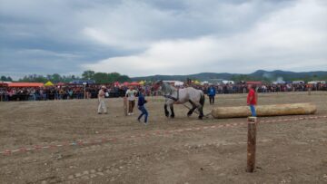 Proba de tracțiune
