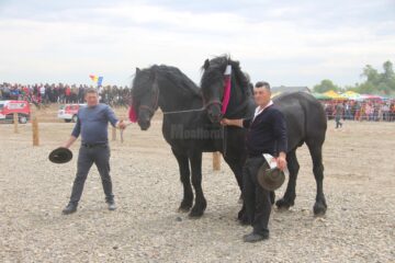 Expo-târgul de semigrei de la Marginea