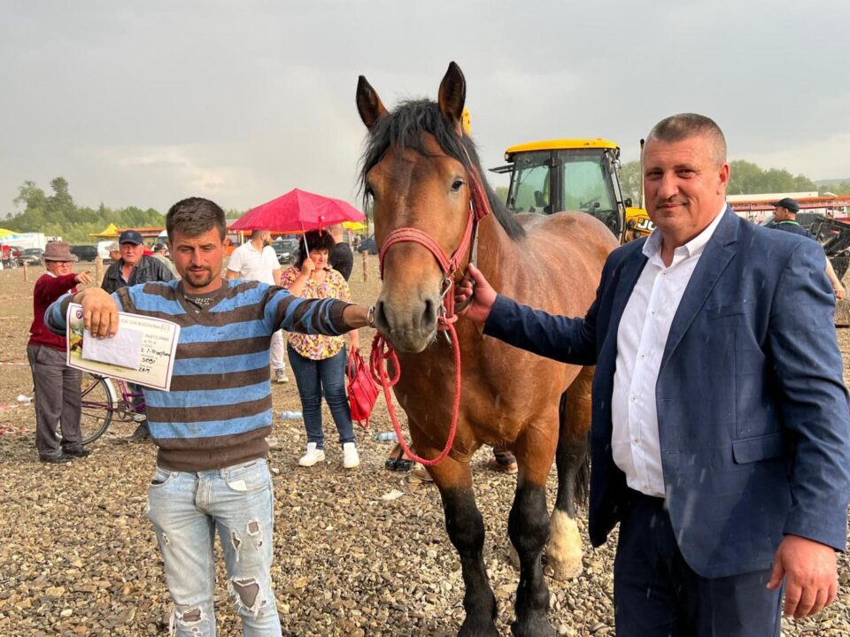 Locul I la tracțiune simplă - calul Cezar, cu proprietarul Sebi Vereș și cu viceprimarul Gavriluță Hintar Foto Florin Lungu