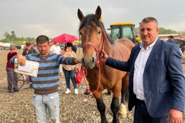 Locul I la tracțiune simplă - calul Cezar, cu proprietarul Sebi Vereș și cu viceprimarul Gavriluță Hintar Foto Florin Lungu