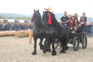 Expo-târgul de semigrei de la Marginea