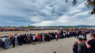 Târgul de cai, proba de tracțiune