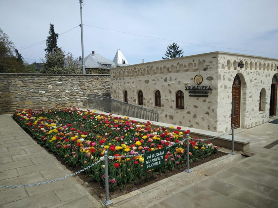 Programul liturgic cu ocazia sărbătorii Sfântului Mare Mucenic Ioan cel Nou de la Suceava