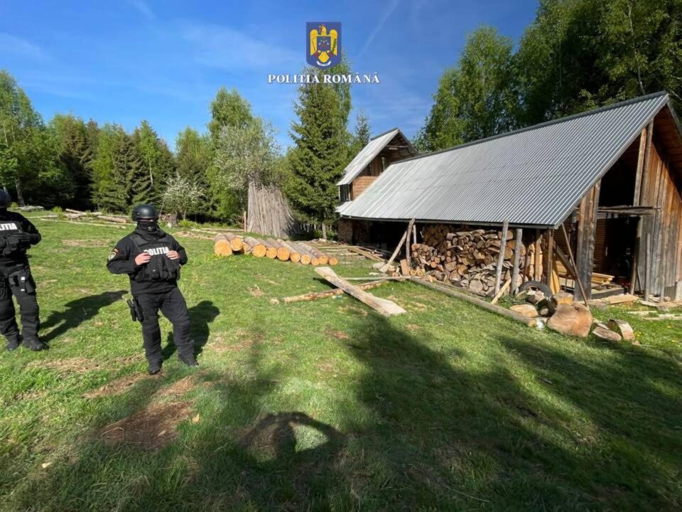 Poliția a intrat adânc în afaceriștii cu lemn