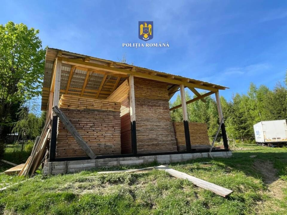 Poliția a intrat adânc în afaceriștii ilegali cu lemn
