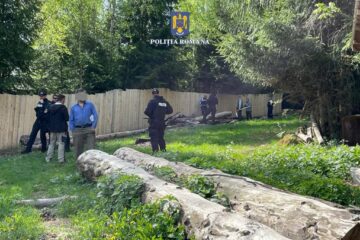 Descindere a polițiștilor în cazuri în care aveau date despre afaceriști ilegali cu lemn