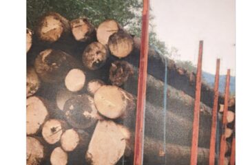 La efectuarea transporturilor fictive, în SUMAL erau încărcate fotografii făcute la ecranul altui dispozitiv mobil
