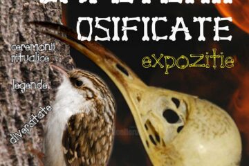 Expoziția „Căpetenii osificate”, la Muzeul de Științele Naturii