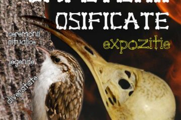 Expoziția „Căpetenii osificate”, la Muzeul de Științele Naturii