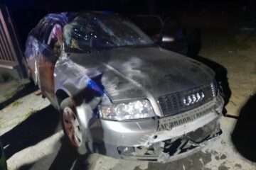 Accidentul de la Arbore