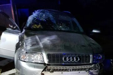 Accidentul de la Arbore