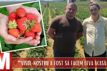 De la culegători de căpșuni în Germania, au ajuns să cultive 10 hectare și să intre cu căpșunile locale în marile magazine