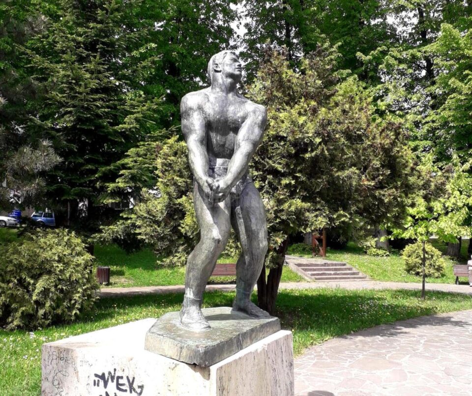 O statuie frustrată