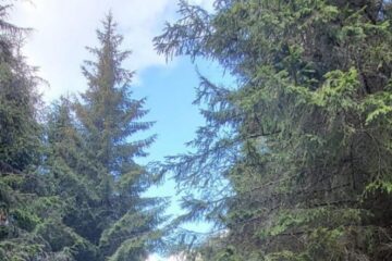 Elevi de la Centrul Școlar Suceava, într-o excursie tematică în nordul țării