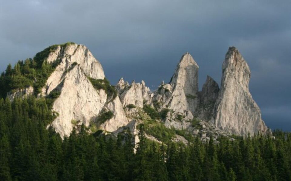 Noul drum spre Rarău din Câmpulung, prin Izvorul Alb, va fi finalizat în luna iulie. foto adevărul.ro Noul drum spre Rarău din Câmpulung, prin Izvorul Alb, va fi finalizat în luna iulie. foto adevărul.ro