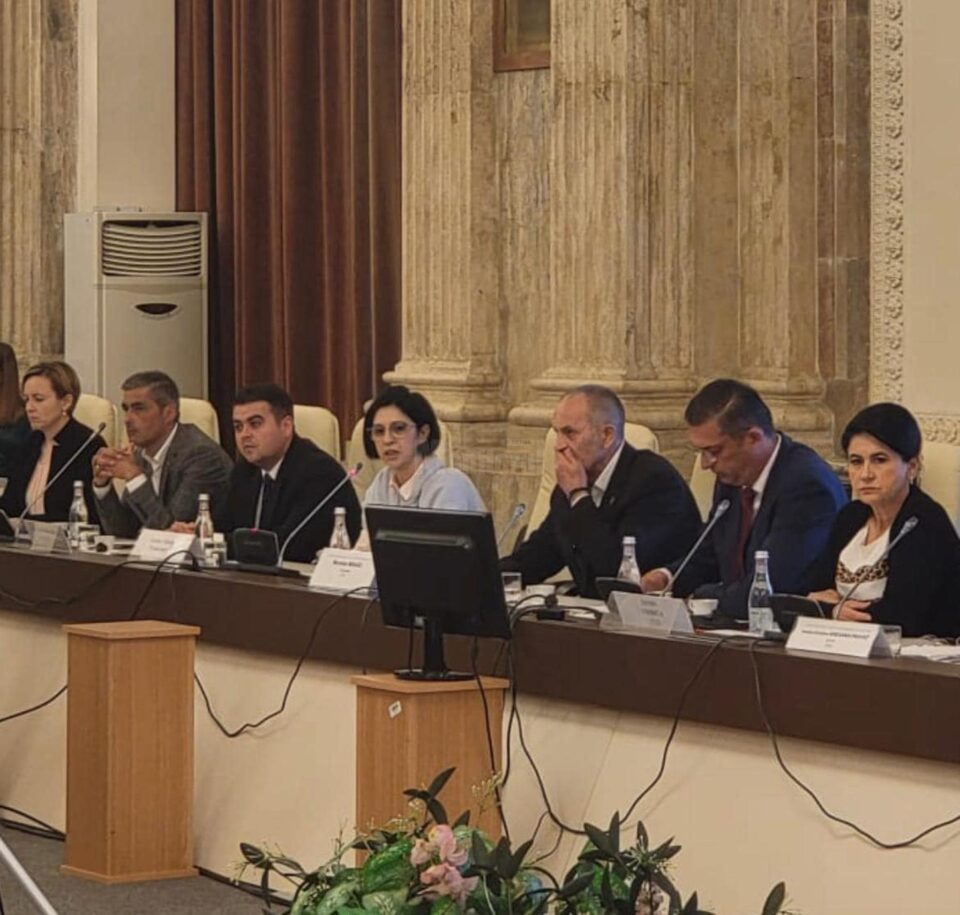 Deputatul Gheorghe Șoldan a participat la o întâlnire cu experții Fondului Monetar Internațional
