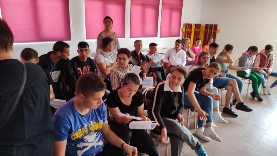 Consilierea viitorilor absolvenți de la Centrul Școlar Gura Humorului, în vederea integrării pe piața forței de muncă
