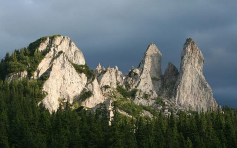 Noul drum spre Rarău din Câmpulung, prin Izvorul Alb, va fi finalizat în luna iulie Foto adevarul.ro
