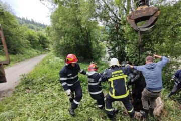 Vițel salvat de pompieri după ce a căzut într-o fosă septică