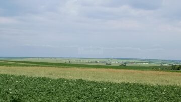 Cozile de tiruri se văd de la mare distanță