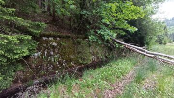 Tarnița, rana sângerândă din inima Bucovinei
