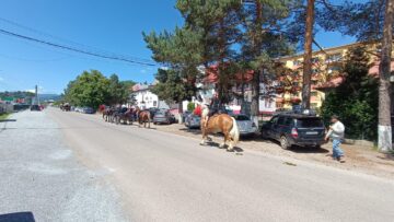 Cu caii spre stadion
