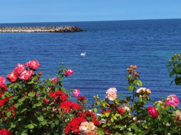 Paradisul verde de pe litoralul românesc, alternativă accesibilă la vacanțele de lux peste hotare