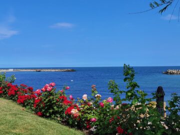 Paradisul verde de pe litoralul românesc, alternativă accesibilă la vacanțele de lux peste hotare
