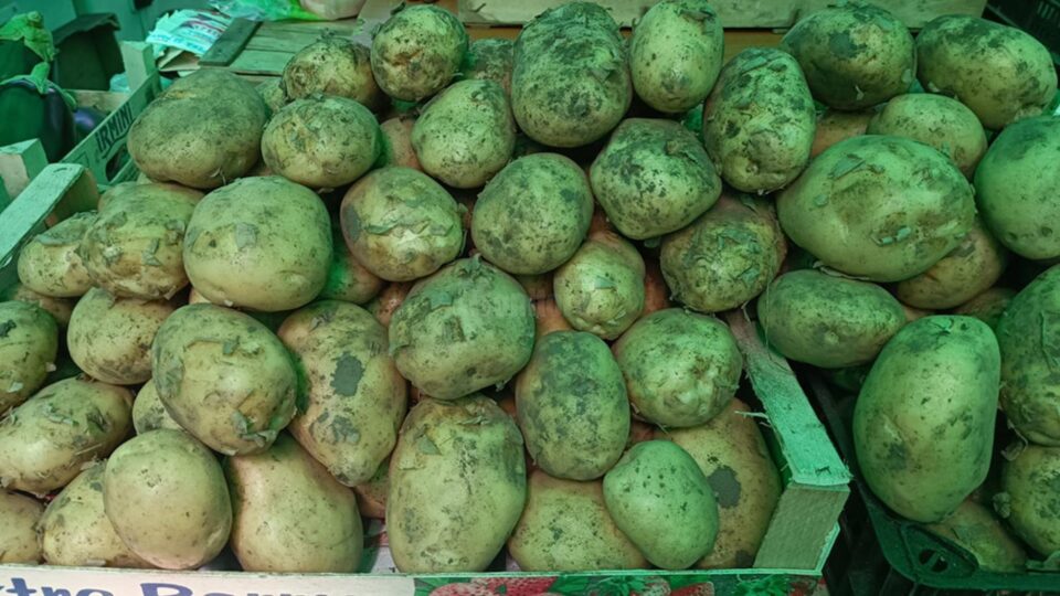 Subvenție de 200 de euro/ ha pentru cultivatorii de cartofi