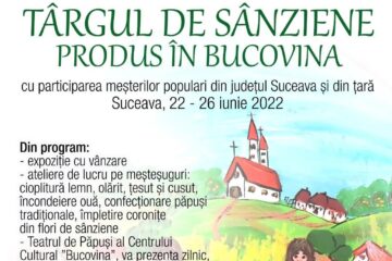 Programul Târgului de Sânziene din centrul Sucevei include și spectacole de teatru pentru copii