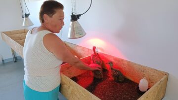 Domnica Horodnic spune că se joacă și chiar vorbește cu puii de struț