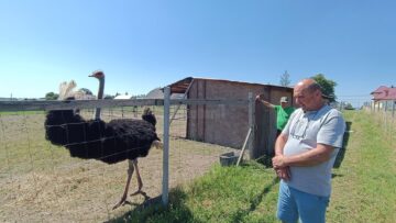 Dorel Horodnic a făcut dintr-un hobby o afacere