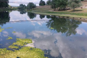 Zona în care s-au observat mortalitățile piscicole, vineri după-amiază