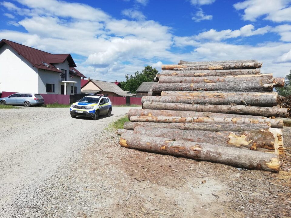 Polițiștii au confiscat o cantitate mare de lemn