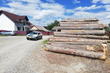 Polițiștii au confiscat o cantitate mare de lemn