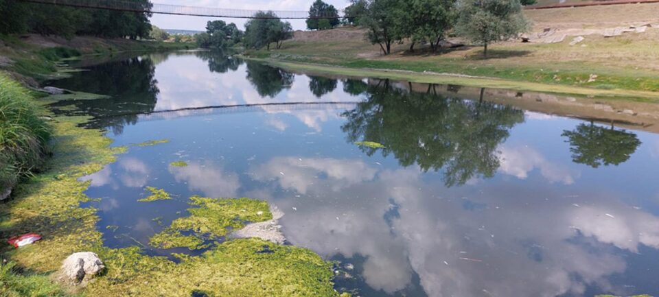 Zona în care au fost semnalați peștii morți