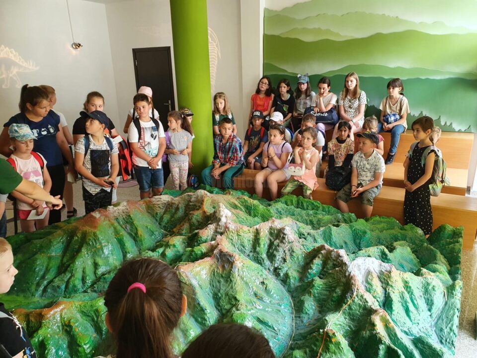 Șase zile de activități instructiv-educative dedicate elevilor și liceenilor din comuna Poiana Stampei